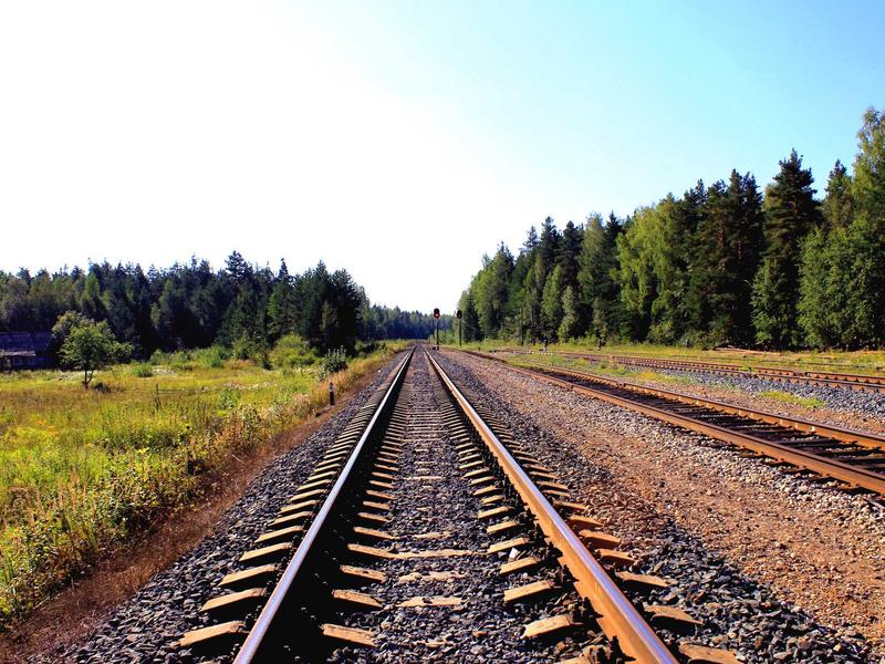 黑帽极客<br>SEO 外链建设与霸屏工具号